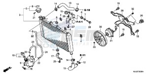 NC750SE NC750S Continue » Europe Direct - (ED) drawing RADIATOR