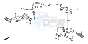 CB600FA39 Australia - (U) drawing PEDAL