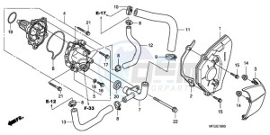 CB600F3A Europe Direct - (ED / ST 25K) drawing WATER PUMP