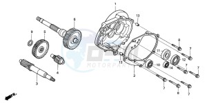 FES125 PANTHEON drawing TRANSMISSION