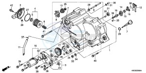 TRX500FPEC drawing FRONT CRANKCASE COVER