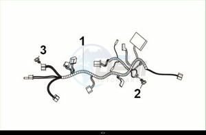 CRUISYM a 300 (LV30W2Z1-EU) (M2) drawing WIRE HARNESS