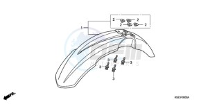 CRF150R9 Australia - (U) drawing FRONT FENDER