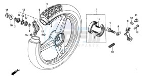 SH50D SCOOPY drawing REAR WHEEL (SH50DP/DS)