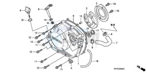 CBR125RW9 Australia - (U) drawing RIGHT CRANKCASE COVER