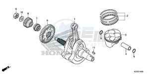 CRF250MF CRF250M UK - (E) drawing CRANKSHAFT/PISTON