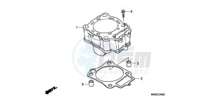 CRF250RC drawing CYLINDER