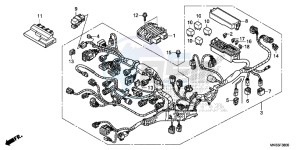 CBR1000RRF Fireblade - CBR1000RR 2ED - (2ED) drawing WIRE HARNESS (CBR1000RR/ S)