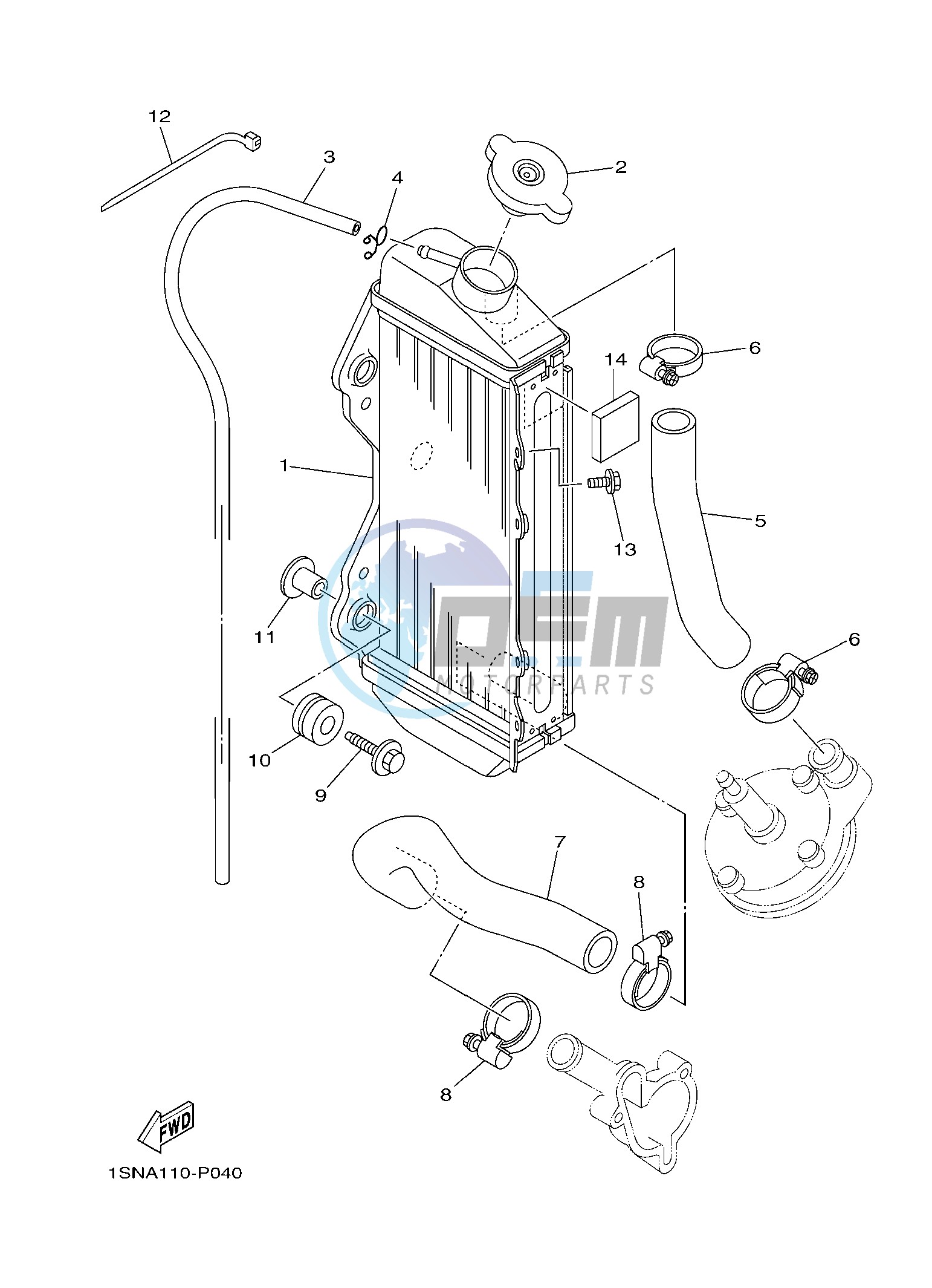 RADIATOR & HOSE