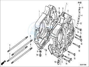 CRF50FH Europe Direct - (ED) drawing CRANKCASE