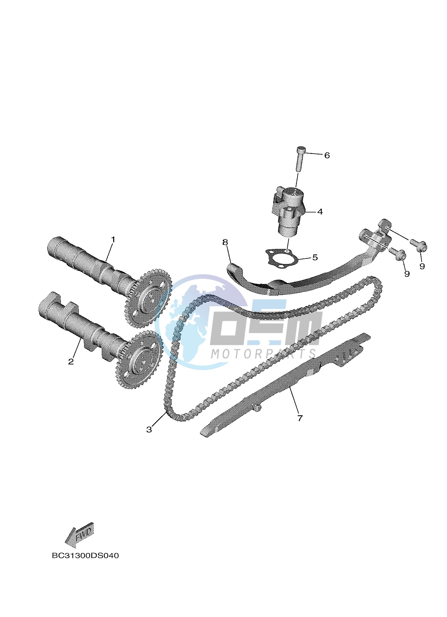 CAMSHAFT & CHAIN