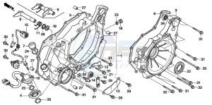 TRX500FM drawing REAR CRANKCASE COVER