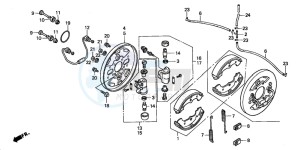 TRX450S drawing FRONT BRAKE PANEL