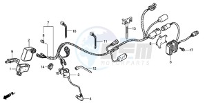 TRX300EX SPORTRAX 300EX drawing WIRE HARNESS (TRX300EX'07,'08)