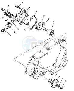 WR 250 drawing WATER PUMP