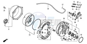 TRX350TM FOURTRAX 350 drawing REAR BRAKE PANEL