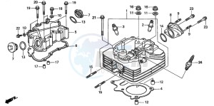 TRX250TM FOURTRAX drawing CYLINDER HEAD