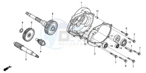 FES150 125 PANTHEON drawing TRANSMISSION