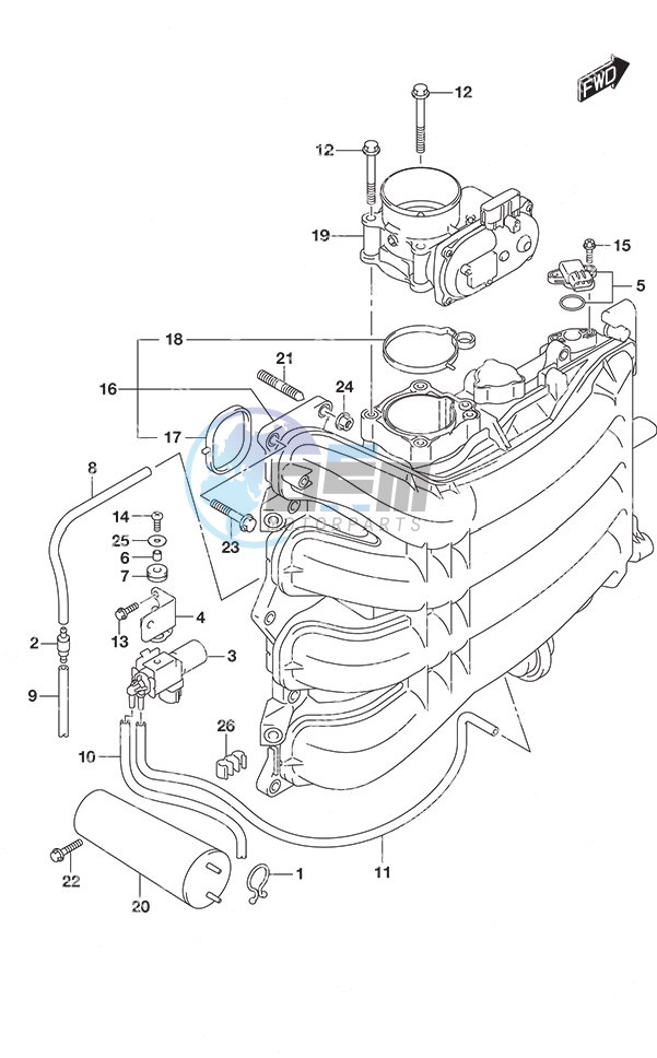 Intake Manifold/Throttle Body