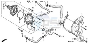 CBR600RA9 France - (F / ABS CMF MME) drawing WATER PUMP