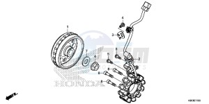 CRF250R Europe Direct - (ED) drawing GENERATOR