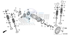 CRF150RE CRF150R Europe Direct - (ED) drawing CAMSHAFT/VALVE