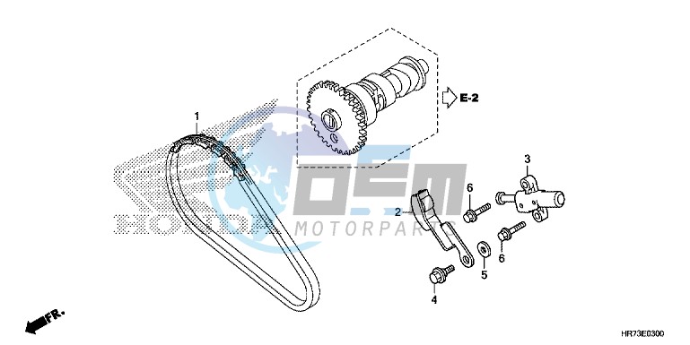 CAM CHAIN/ TENSIONER