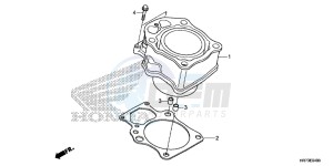 TRX420FA5G TRX420F Europe Direct - (ED) drawing CYLINDER