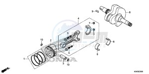 NSS300D Forza - NSS300D UK - (E) drawing CRANKSHAFT/ PI STON