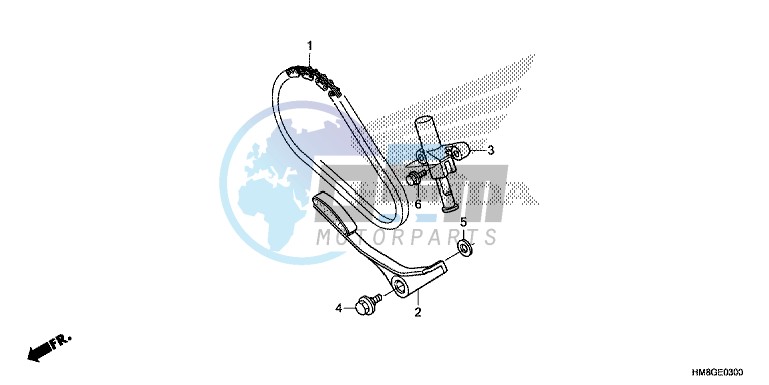 CAM CHAIN/TENSIONER