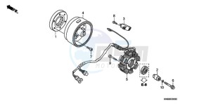 TRX250XA Europe Direct - (ED) drawing GENERATOR