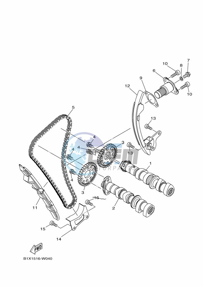 CAMSHAFT & CHAIN