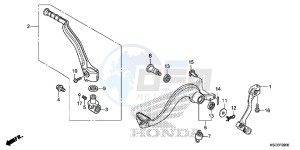 CRF250XD CRF250R Europe Direct - (ED) drawing PEDAL/KICK STARTER ARM