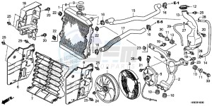 TRX500FA7G TRX500 Europe Direct - (ED) drawing RADIATOR