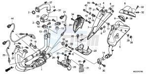 VFR1200FC drawing EXHAUST MUFFLER