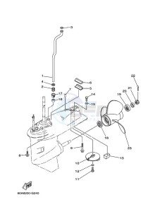 F50DETL drawing LOWER-CASING-x-DRIVE-2