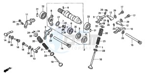 TRX400EX SPORTRAX 400 EX drawing CAMSHAFT/VALVE