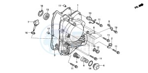 NSS250EX FORZA EX drawing RIGHT CRANKCASE COVER