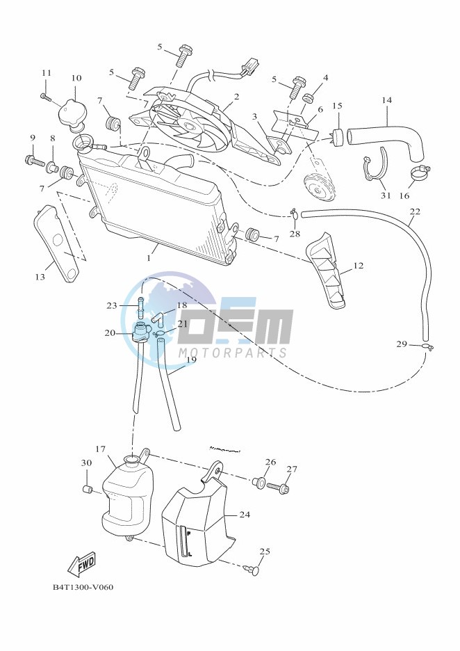 RADIATOR & HOSE