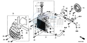 NSS125ADF Forza 125 - NSS125AD UK - (E) drawing RADIATOR