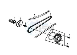 FIDDLE II 50 25KMH (L8) NL EURO4 drawing CHAIN / CHAIN TENSIONER  / CHAIN GUIDE