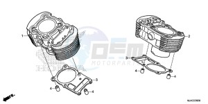 VT750CSE Shadow - VT750CS-E UK - (E) drawing CYLINDER