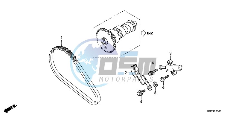 CAM CHAIN/ TENSIONER