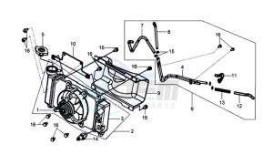 HD 125 EVO drawing RADIATOR