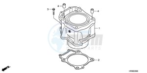 TRX700XX9 Australia - (U) drawing CYLINDER