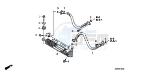 TRX250TEB drawing OIL COOLER