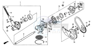 GL1500CT VALKYRIE drawing OIL PUMP