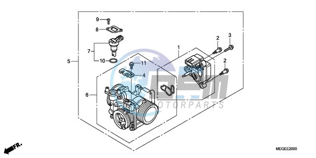 THROTTLE BODY