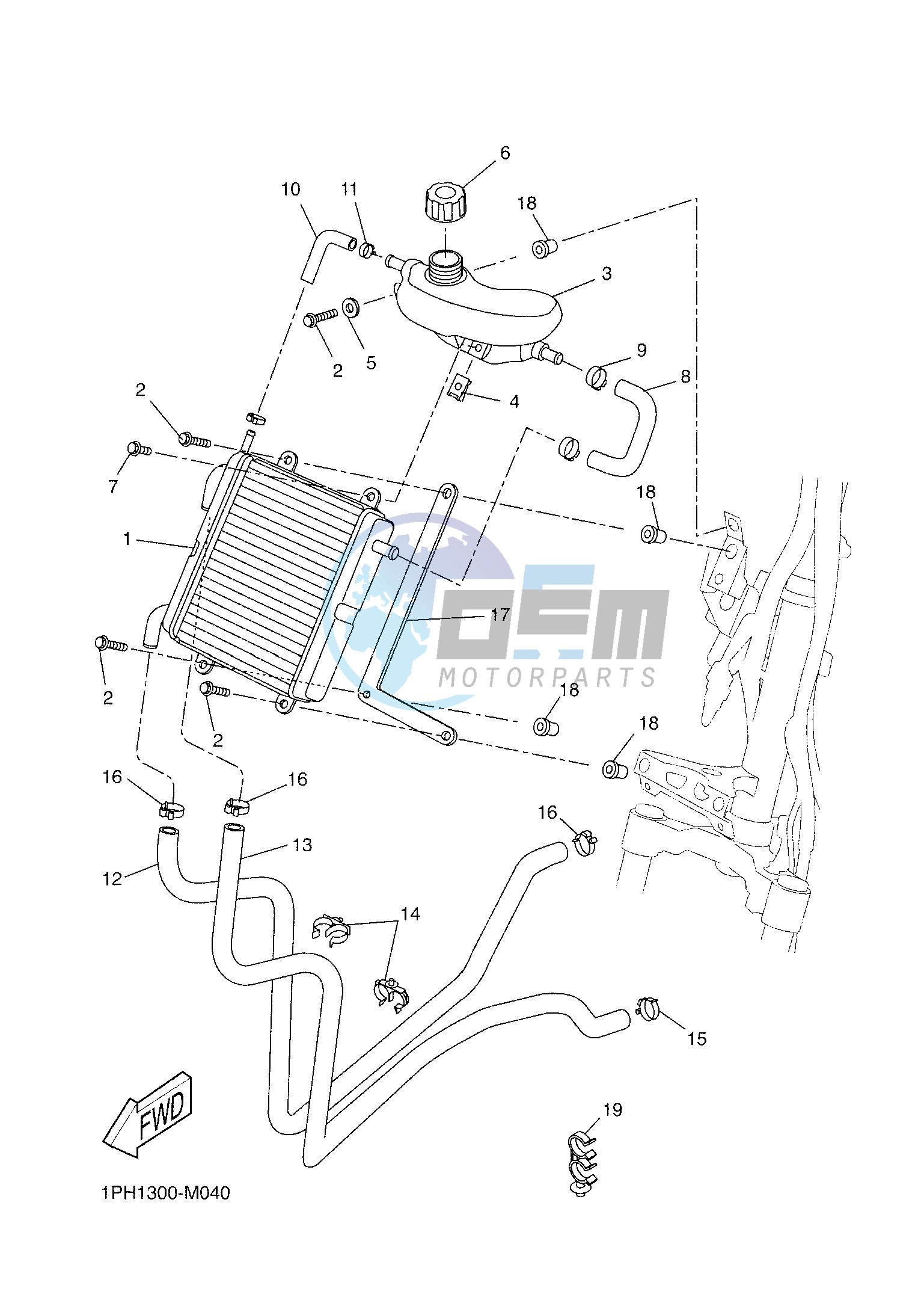 RADIATOR & HOSE