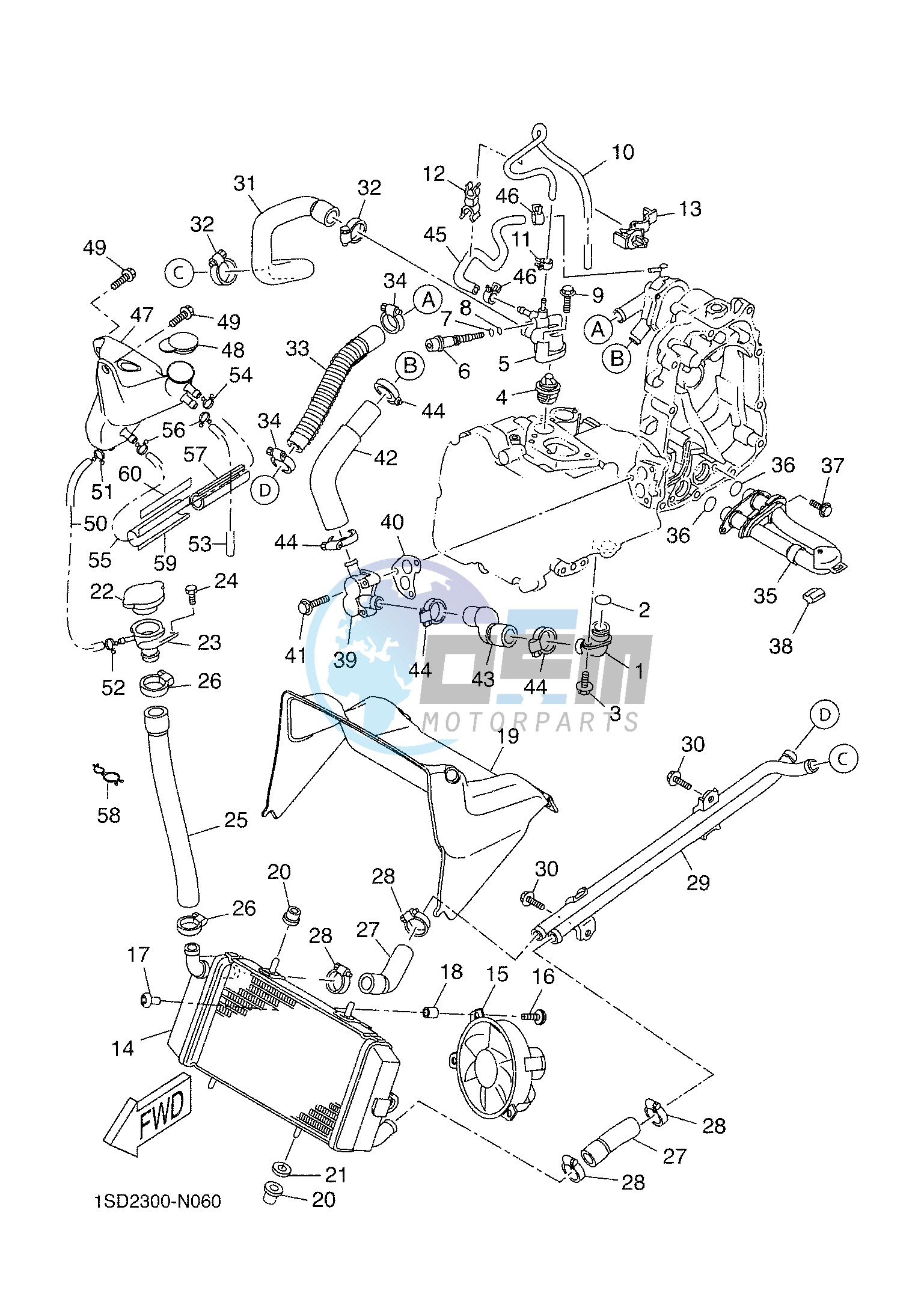 RADIATOR & HOSE